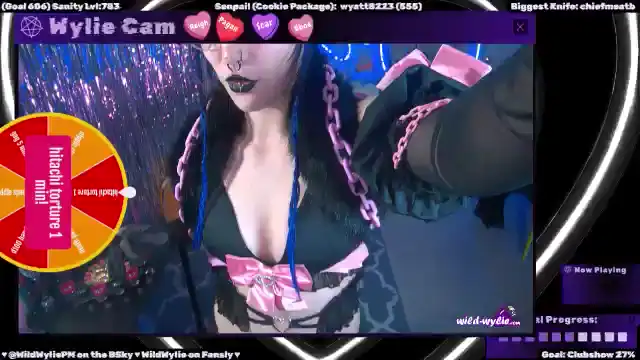Wildwyliepm – Myfreecams Record Video – 2025-07-13 13:53:12