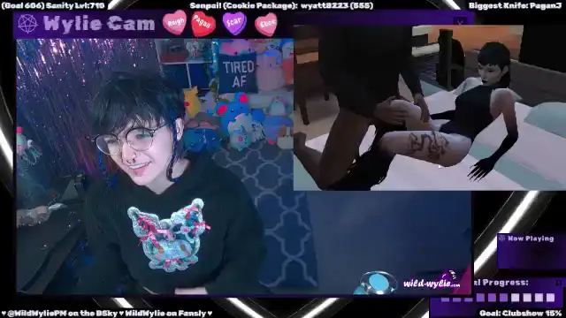 Wildwyliepm – Myfreecams Record Video – 2025-01-19 17:33:08