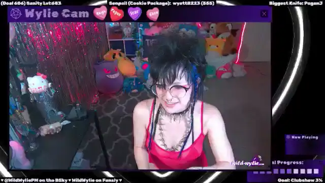 Wildwyliepm – Myfreecams Record Video – 2025-01-30 02:22:06
