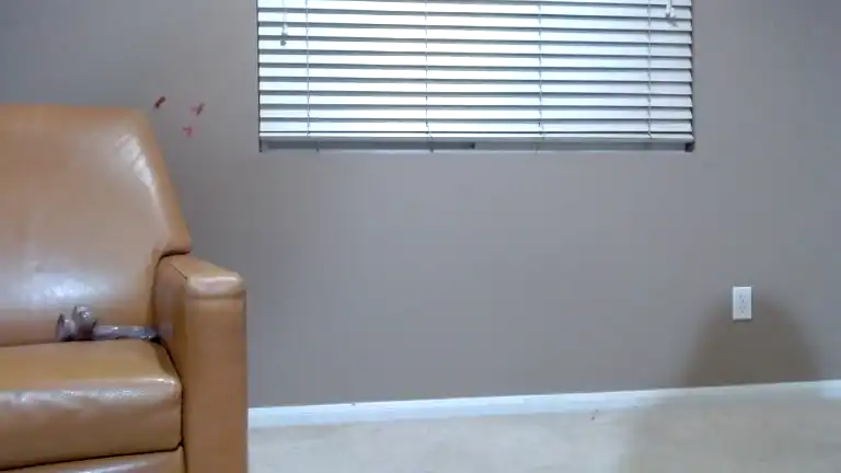Briannastarrr – Streamate Record Video – 2025-01-30 16:02:42