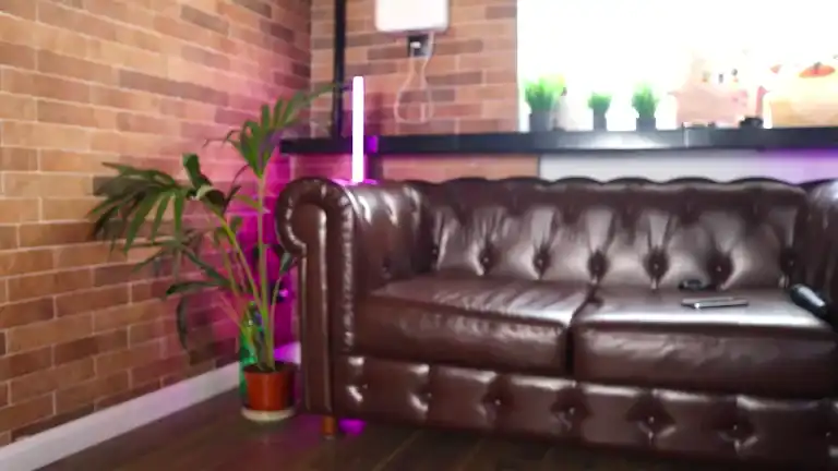 Foxymonica – Streamate Record Video – 2025-01-01 23:47:31
