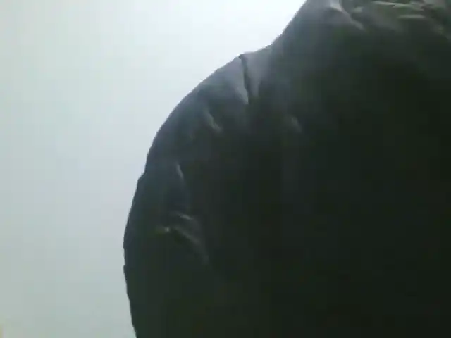 Superstar – Xlovecam Record Video – 2025-01-07 11:44:39