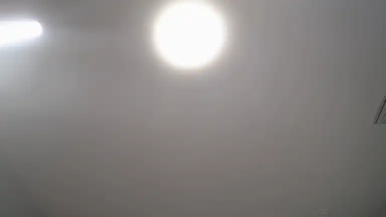 Cynthiatorres – Streamate Record Video – 2025-08-23 13:33:58