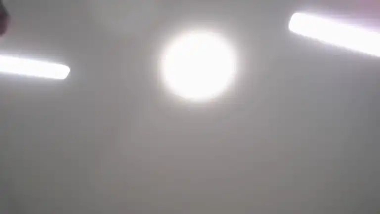 Cynthiatorres – Streamate Record Video – 2025-07-07 17:43:04