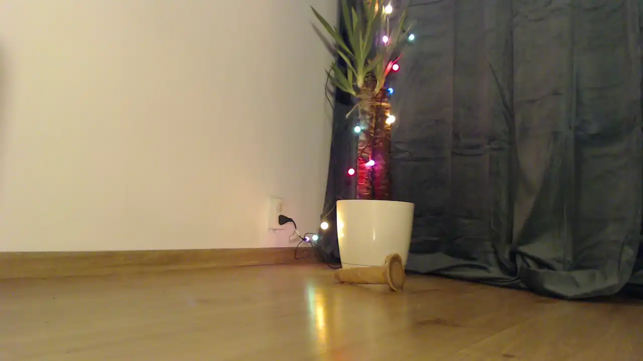 Hungrybanny_ – Showup Record Video – 2025-07-02 21:37:08