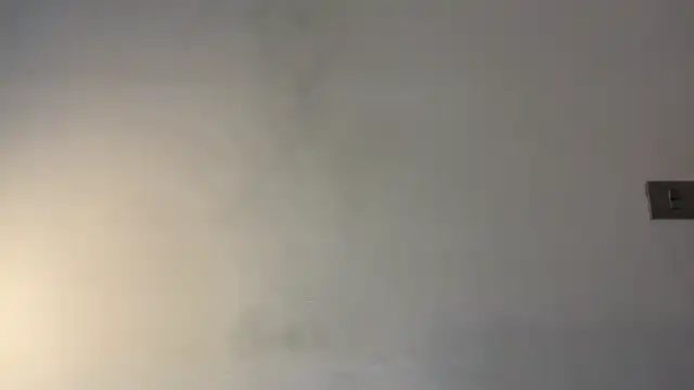 Sweettits20 – Myfreecams Record Video – 2025-02-14 15:38:25