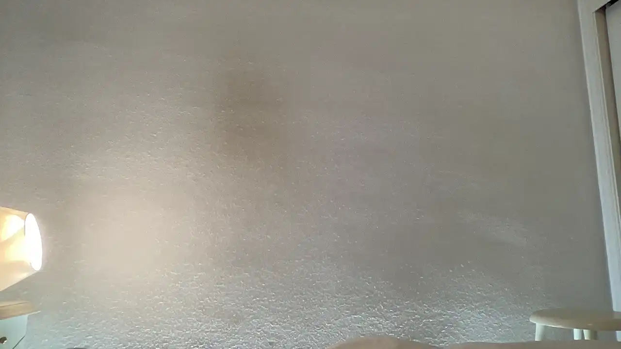 Sweettits20 – Myfreecams Record Video – 2025-07-14 01:52:35