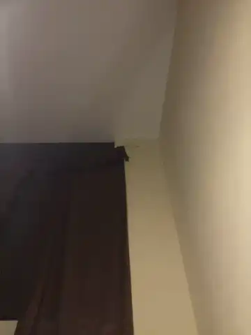 21sweetkitty – Stripchat Record Video – 2025-05-01 20:12:51