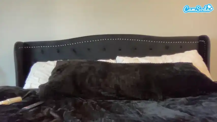 Whitneyoc – Camsoda Record Video – 2025-01-27 22:04:10